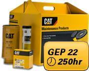 PM Kit 250 hours for Mantrac Cat® GEP 22